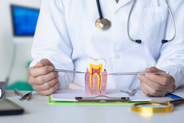 Best Broken or Cracked Tooth Emergency Dentist in Elgin, OK
